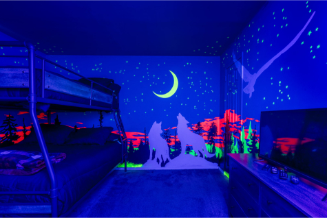 A room with a bed and a wall with a wolf painting AI-generated content may be incorrect., Picture