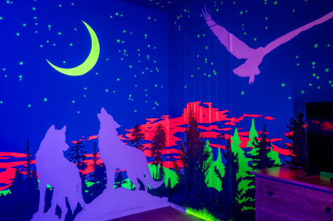 A room with a blue wall with a wolf and birds AI-generated content may be incorrect., Picture